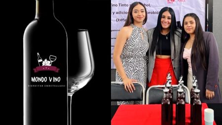 Vino sin alcohol, que mejora la Salud Intestinal es creado por alumnas de IBERO Puebla